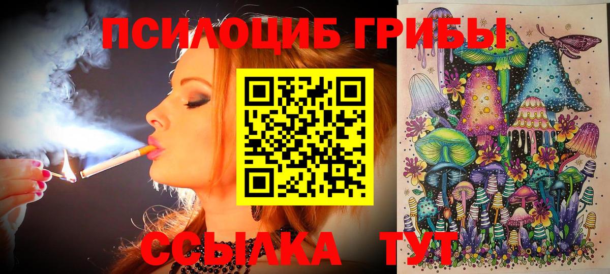 Галлюциногенные грибы MAGIC MUSHROOMS Тайшет