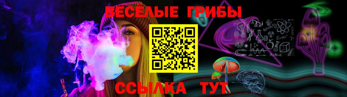 Тайшет  Псилоцибиновые грибы мицелий  Галлюциногенные грибы GOLDEN TEACHER  Вход с VPN 